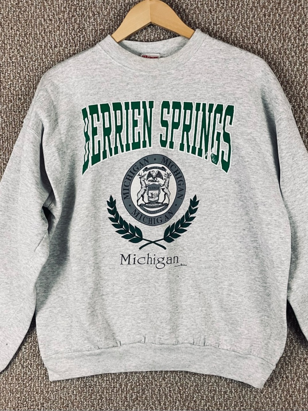Vintage Berrien Springs Michigan Sweatshirt Mens XL 90s Hanes USA Gray T651